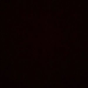 Meet your Posher, Mya